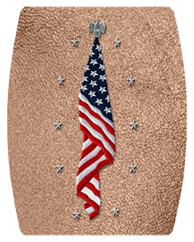 DAREC 421 SH BZ Flag at Rest Shimmer Bronze